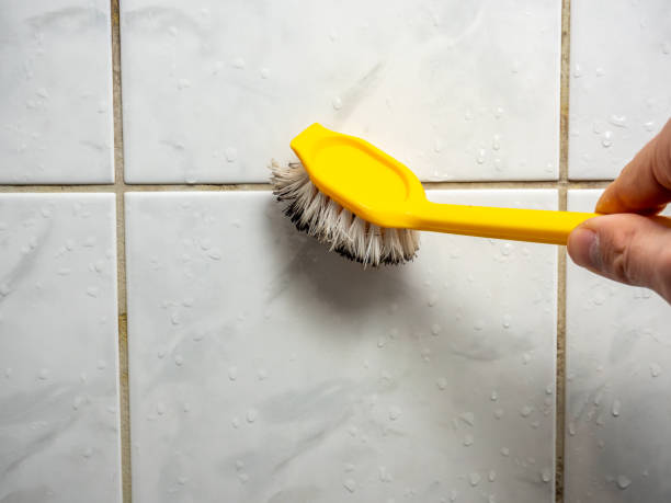 Best Same-Day Mold Removal  in Connell, WA