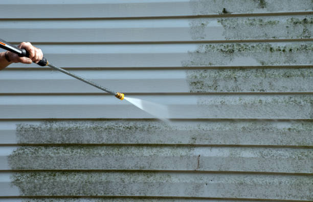 Best Mold Testing  in Connell, WA