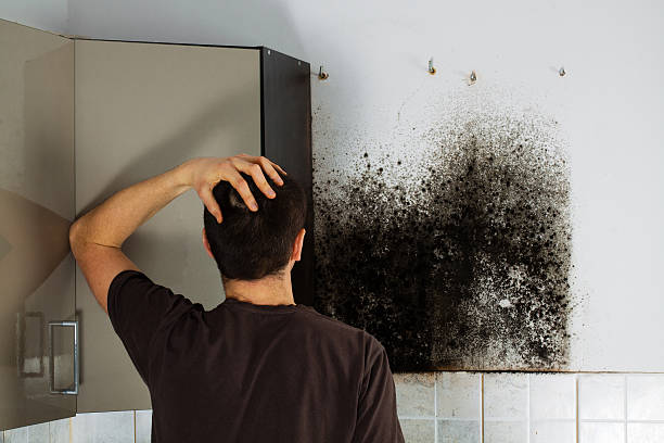 Best Mold Cleaning Services  in Connell, WA